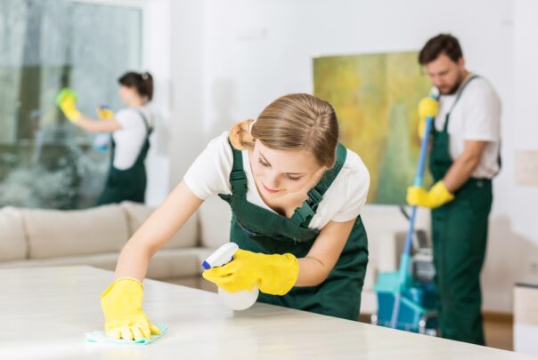 Professional-Cleaners