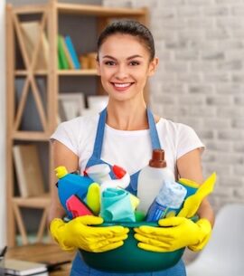 busybeecleaning - cleaning services glen mills pa